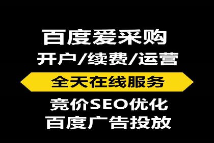 SEM优化技巧：实战案例深度剖析